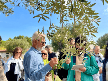 Ostuni: degustazione di olio d'oliva in un'antica masseria