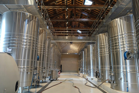 Avignon: Pont du Gard Vineyards, Wine Tasting, Heritage Tour