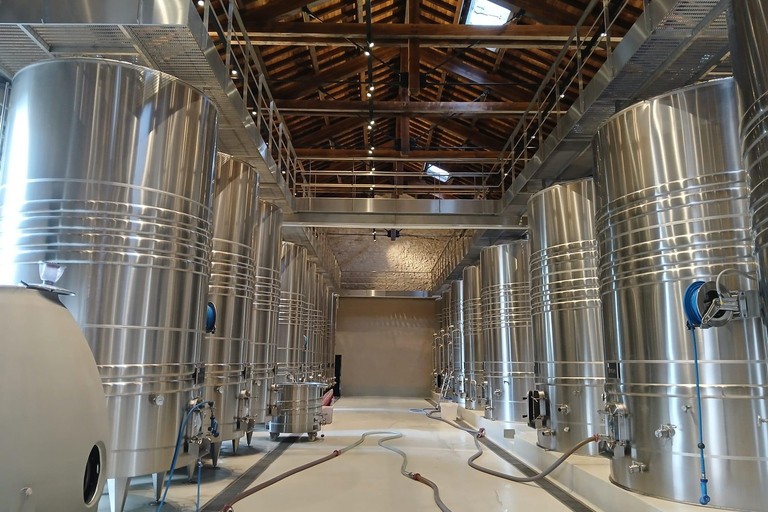 Avignon: Pont du Gard Vineyards, Wine Tasting, Heritage Tour