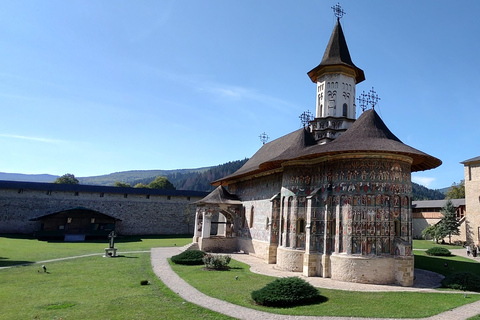 Romania: tour di 7 giorni con alloggio e pastiRomania: tour di 7 giorni con alloggio e pasti inclusi