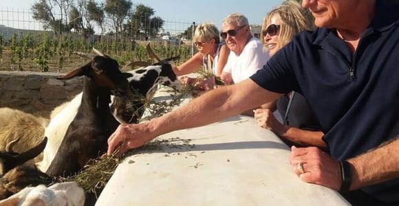Mykonian Farm: Entry Ticket, Self-Guided Visit & Sweet Treat