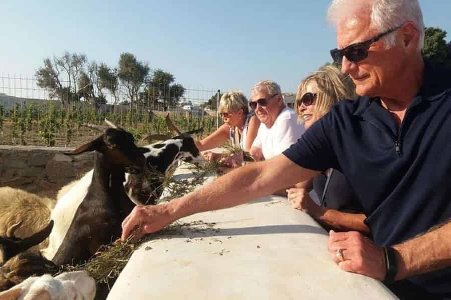 Eintrittskarte für den Mykonos-Bauernhof mit süßer Leckerei. Foto: GetYourGuide Eintrittskarte für den Mykonos-Bauernhof mit süßer Leckerei. Foto: GetYourGuide