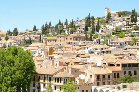Visite privée à pied de Grenade – Sites incontournables et trésors cachésVisite guidée de Grenade à pied de 2 heures