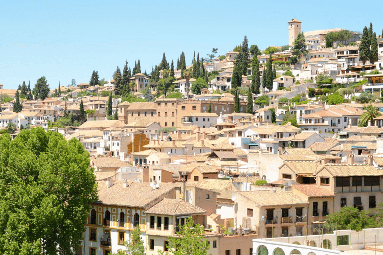 Visite privée à pied de Grenade – Sites incontournables et trésors cachésVisite guidée de Grenade à pied de 2 heures