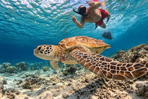 From Gili Air: Snorkelling Trip with Turtles, Statue & GoPro From Gili Air: Shared Snorkeling with Turtles, Statue &GoPro