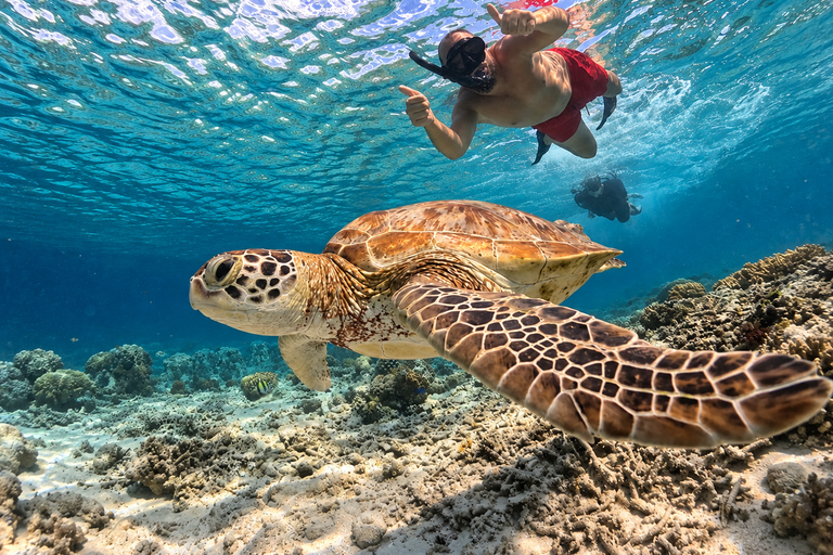 From Gili Air: Snorkelling Trip with Turtles, Statue & GoPro From Gili Air: Shared Snorkeling with Turtles, Statue &GoPro