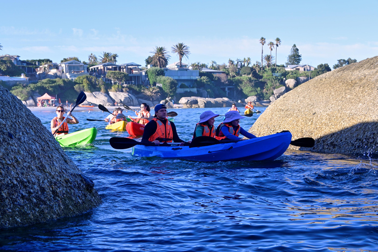Cape Town: Guided Kayak Tour of Clifton Beaches & The Coast