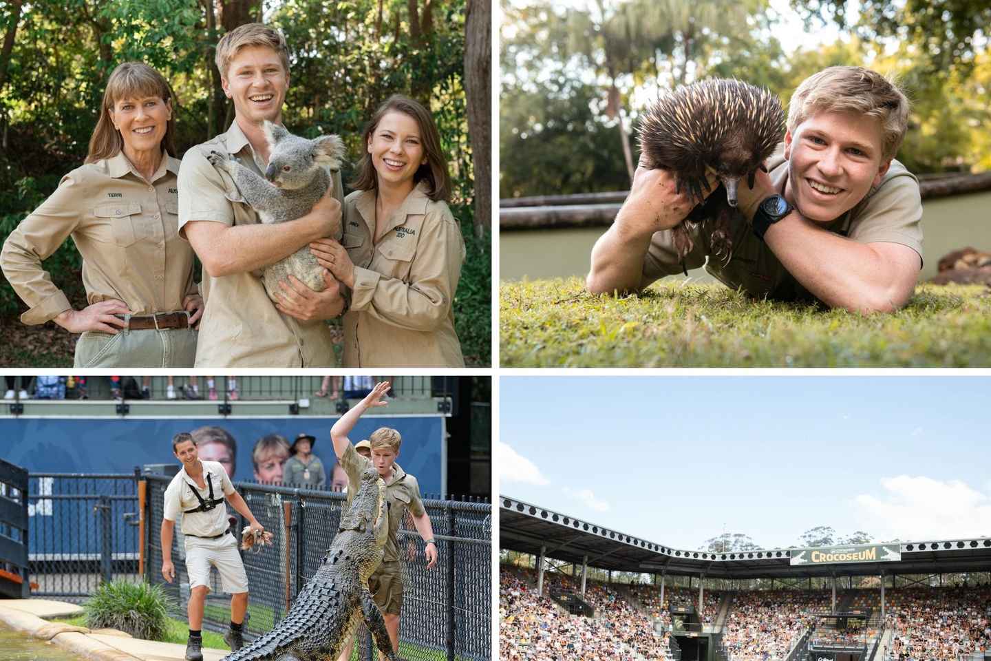 Brisbane: Croc Connection Transfers & Entry to Australia Zoo - Brisbane: Croc Connection Transfers & Entry to Australia Zoo