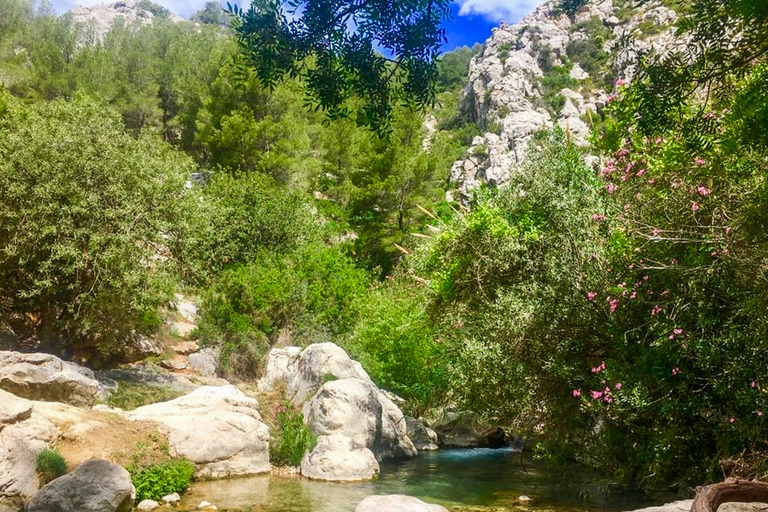 From Albir or Benidorm: Algar Waterfalls Day Trip From Benidorm with Gran Hotel Bali Meeting Point