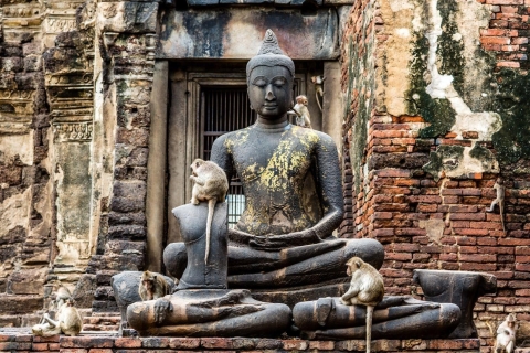 Visite du temple des singes de Lopburi et de la vieille ville d'Ayutthaya (UNESCO)