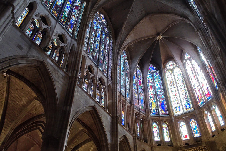 Visita guidata della Cattedrale di León