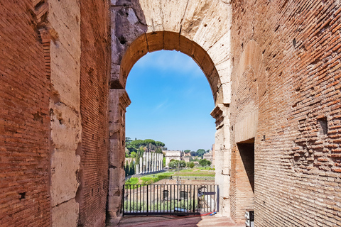 Rome: Colosseum, Roman Forum & Palatine Hill Tour Colosseum, Forum, and Palatine Hill Guided Tour in Italian
