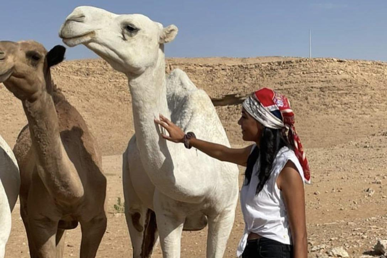 Saudi Arabia: 7-Day Tour Around The Kingdom from Riyadh