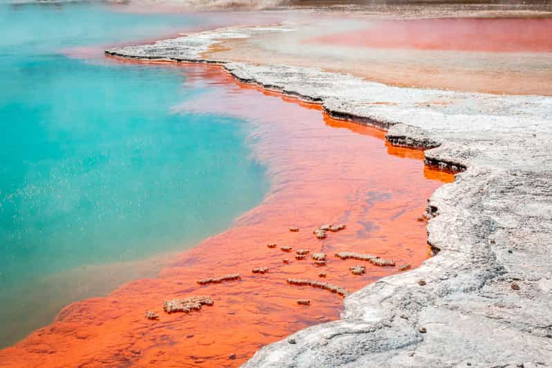 Rotorua: Ticket für den Wai-O-Tapu Geothermal Park