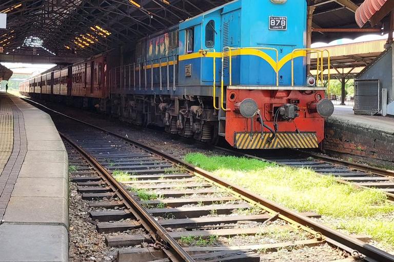Kandy To Colombo Transfer With Tea Factory & Train Ride