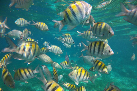 Isla Mujeres: Snorkeling Adventure at the Underwater Museum Isla Mujeres: Snorkeling Tour at the Underwater Museum