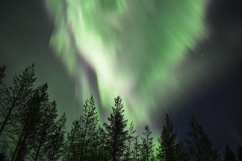 罗瓦涅米：极光哈士奇穿越森林之旅罗瓦涅米：穿越森林的极光哈士奇之旅