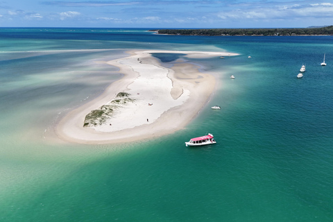 Best Of Moreton Bay Island Tour - Family Friendly Adventure