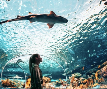 Toronto: Eintrittskarte für Ripley's Aquarium of Canada