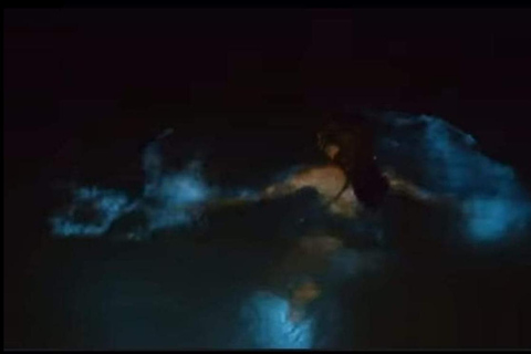 Luminous lagoon : Night Tour from Ocho Rios and Runaway Bay