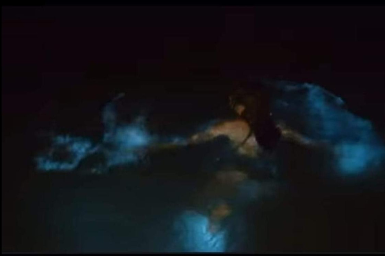 Luminous lagoon : Night Tour from Ocho Rios and Runaway Bay