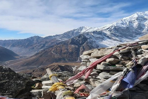 Pokhara: Langtang Glacier Trail and Kyanjin Monastery Trek