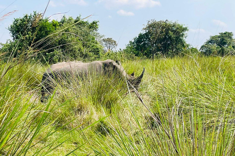 Uganda: Zziwa Rhino Tracking and Wildlife Day Adventure