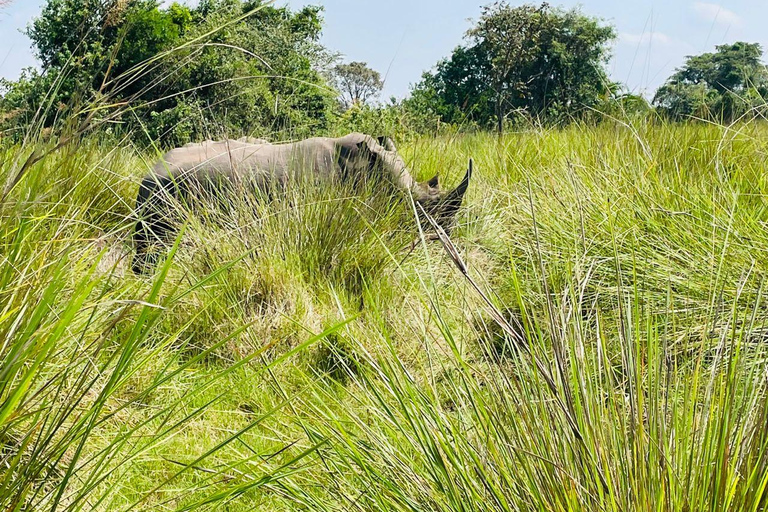 Uganda: Zziwa Rhino Tracking and Wildlife Day Adventure