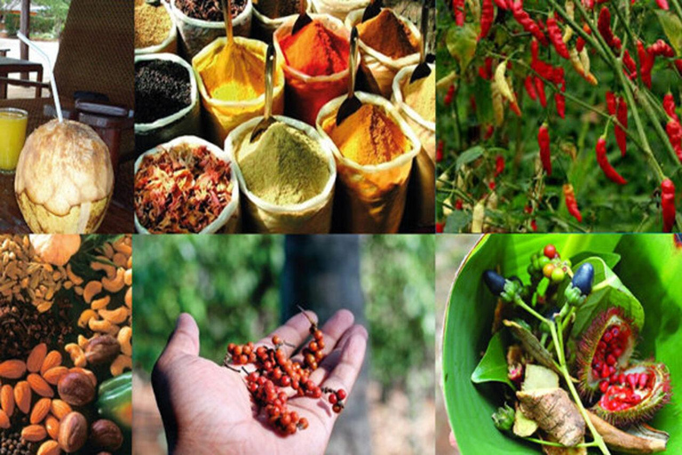 Zanzibar: Private Stone Town, Prison Island & SpiceFarm Tour Tour without transfer, entrance fees and conservation fees