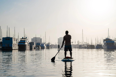Marina del Rey: Paddleboard Rental Experience 1,5h Rental Experience