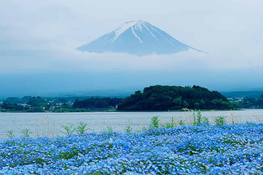 Tokio: Berg Fuji oder Hakone Privater Ganztagesausflug nach Maß. Foto: GetYourGuide