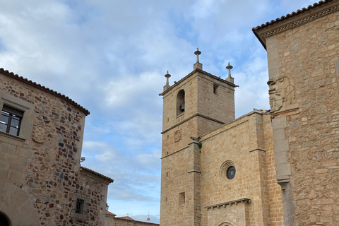 Cáceres: Full Sightseeing Tour of the Historic Center with Local Guide in Spanish