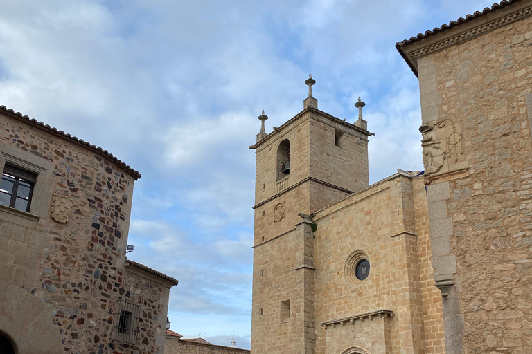 Cáceres: Full Sightseeing Tour of the Historic Center with Local Guide in Spanish