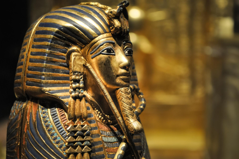 Visite guidée privée coupe-file du musée des beaux-arts de Boston