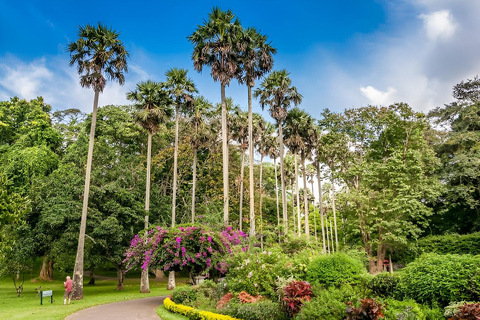 2-Day Kandy Escape: Botanical Gardens, Views & Ayurvedic Spa