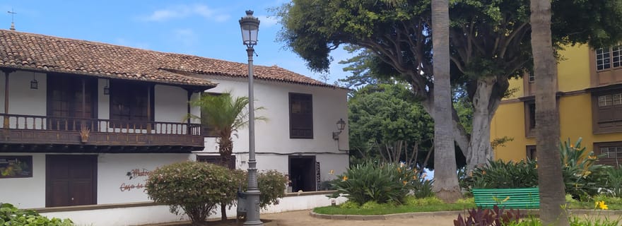Tenerife : visite à pied guidée d'Icod de los Vinos