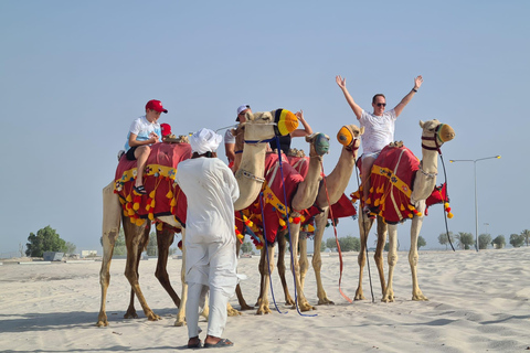 Doha: Full Day Desert Safari, BBQ Dinner, and Stargazing