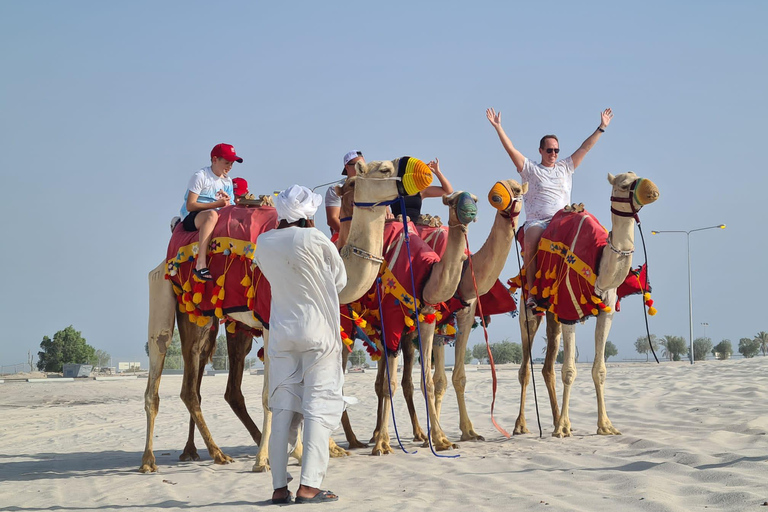 Doha: Full Day Desert Safari, BBQ Dinner, and Stargazing