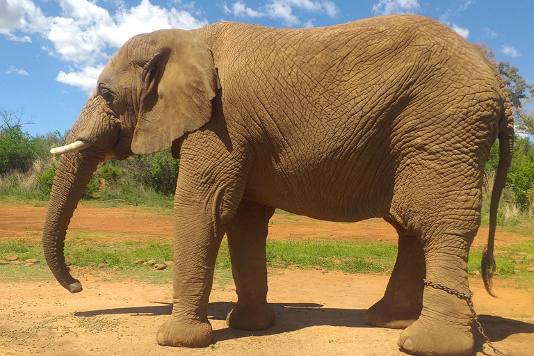 The Elephant and Monkey Sanctuary.