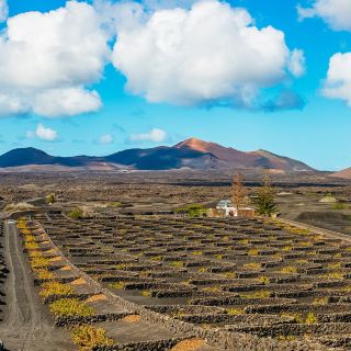 Lanzarote: sydlig tur til Timanfaya for krydstogtpassagerer