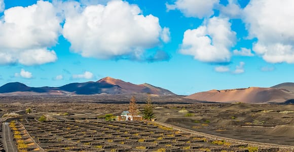 Arrecife: Timanfaya and Green Lagoon for Cruise Passengers