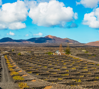 Lanzarote: Landgänge