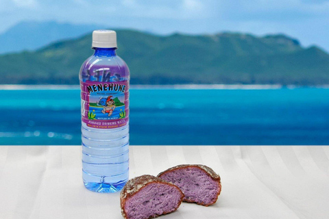 Oahu: Grand Circle Island Tour with Haleiwa