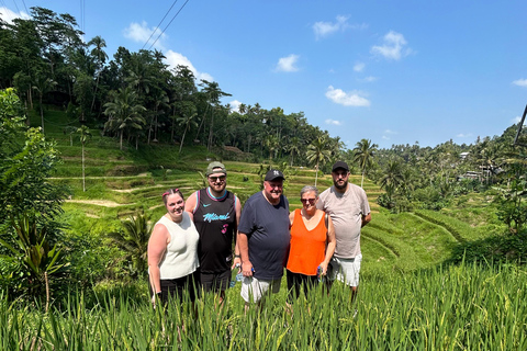 Ubud Waterfall, Temple, Rice Terrace & Art with Transfers