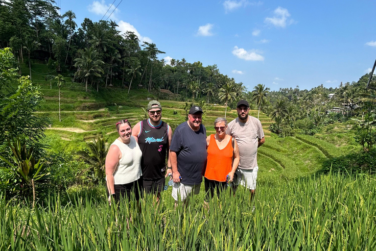 Ubud Waterfall, Temple, Rice Terrace & Art with Transfers
