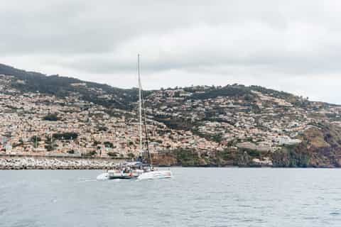 Funchal: Dolphin and Whale Watching Catamaran Cruise