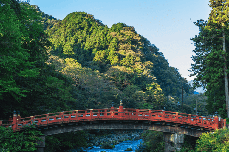Tokyo: Nikko National Park Private Tour Hotel Pickup & Drop