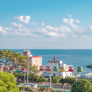 Busan: Top Coastal Highlights with Sky Capsule Full Day Tour