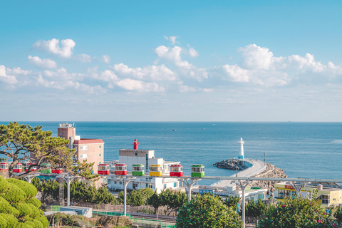 Max Out Busan: Hoogtepunten van de topattracties Eendaagse stadstourGedeelde Tour - Bijeenkomst op KTX Busan Station