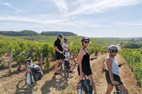 Bordeaux: Prywatna wycieczka rowerowa z degustacją wina w ChateauWycieczka rowerowa do Bordeaux + zwiedzanie zamku